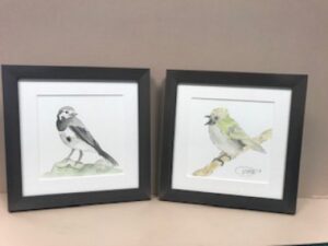 Two framed illustrations of different birds